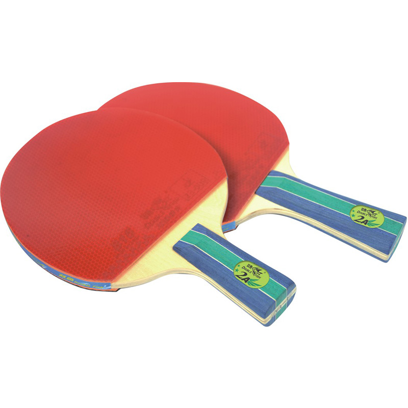 Indoor Table Tennis Racket